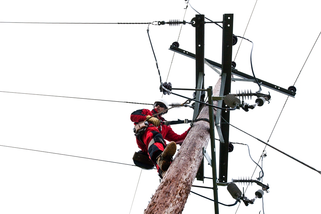 Connections case studies