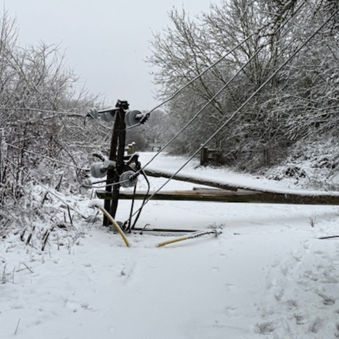 snowy power lines