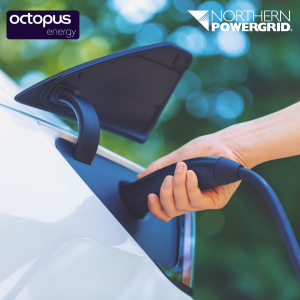 Flexibility services contract Octo Energy