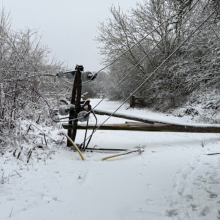 NPG Powerlines in snow