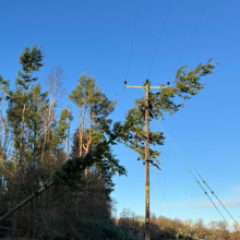 tree fallen onto asset due to storm damage