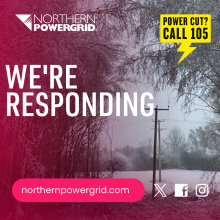 NPG Powerlines in snow