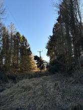 Tree fallen onto asset following storm damage