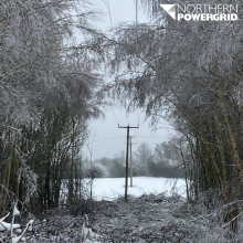 NPG Powerlines in snow