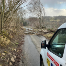 Tree down across road caused by Storm Eowyn with Northern Powergrid responders