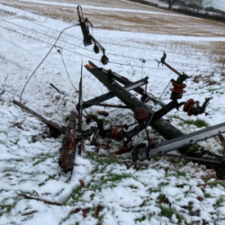 Downed pole in Stokesley in Teesside 2